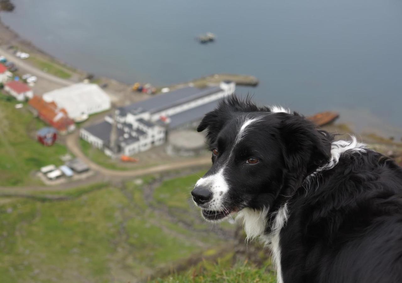 Hotel Djupavik Buitenkant foto